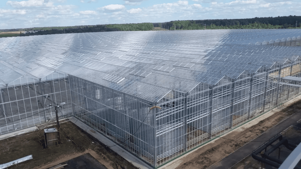 Glass Hydroponics Greenhouse Glass Hydroponics Greenhouse